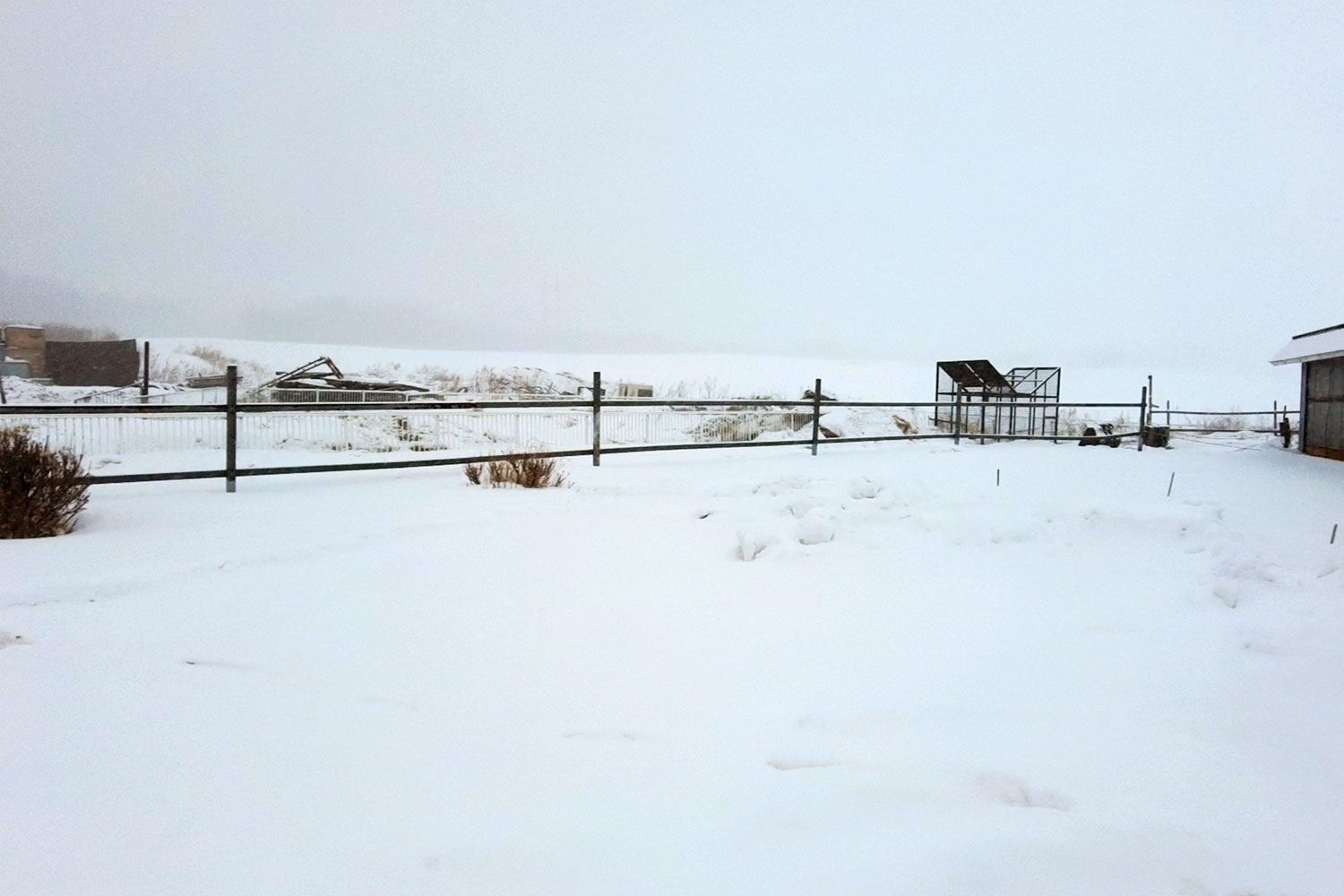 雪に覆われた牧草地