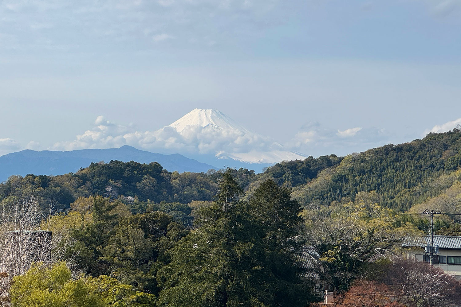 函南・三島エリア