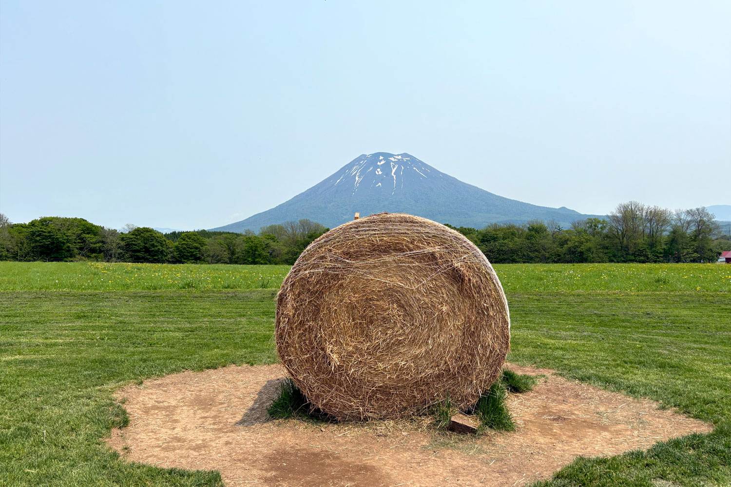 牧草ロールと羊蹄山