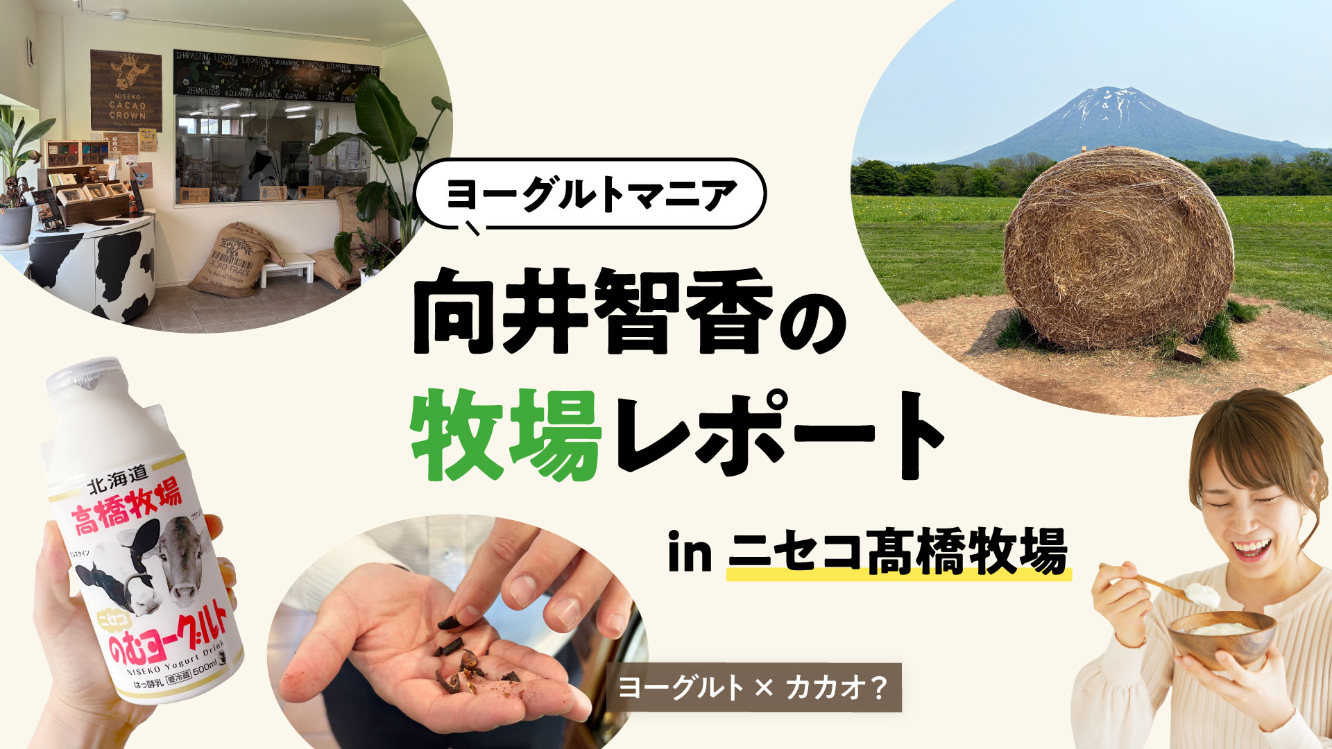 ヨーグルト×世界のカカオで表現する“六次化”とは？ニセコ髙橋牧場の挑戦