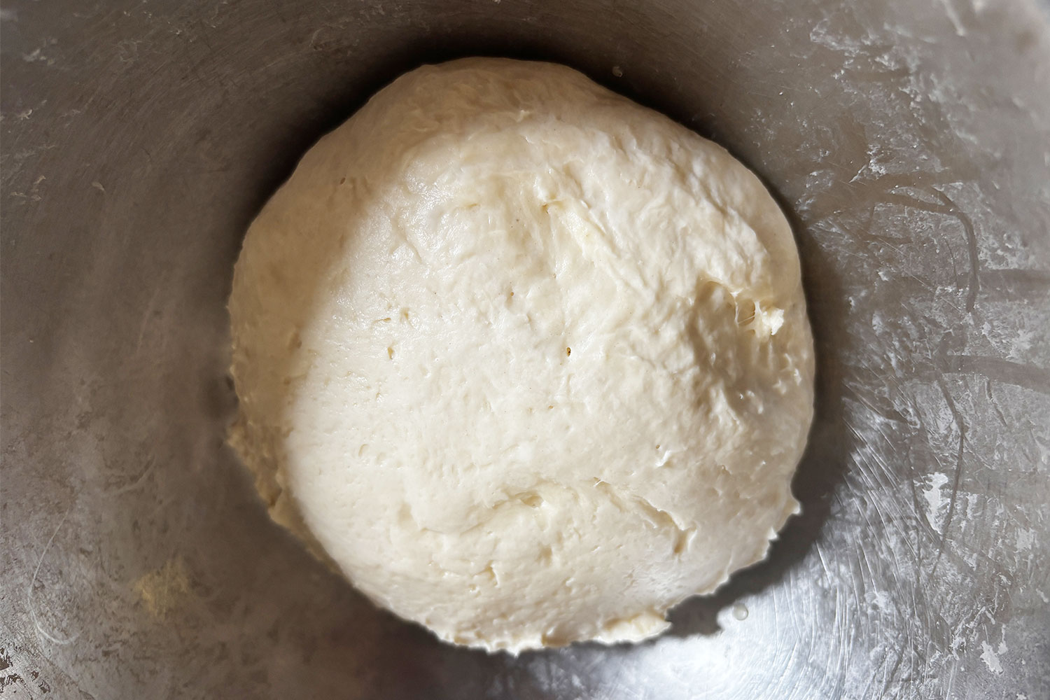 イースト発酵の本格ナン