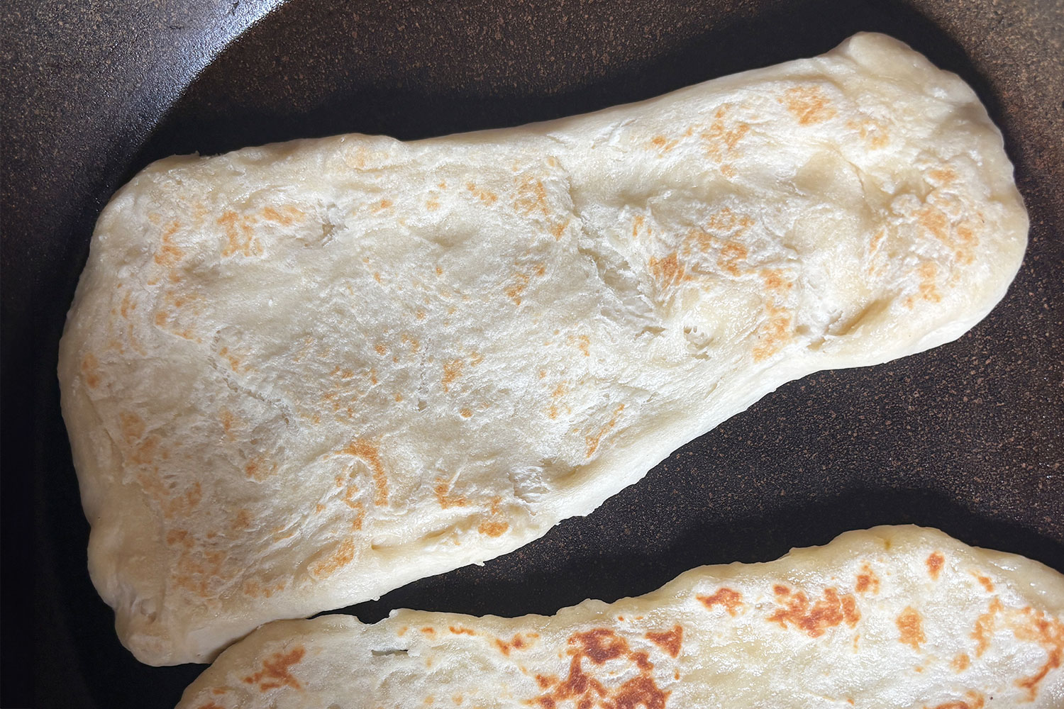 こちらがイースト発酵の本格ナン