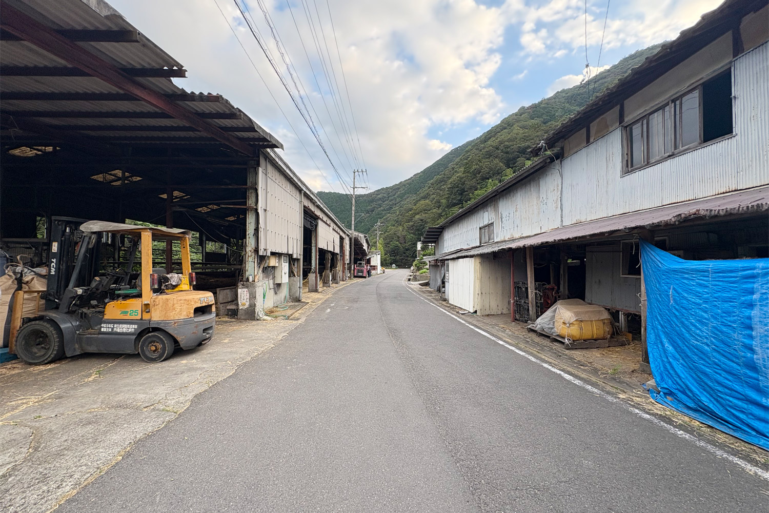 道路を挟んだ左右両方の建物が牛舎です