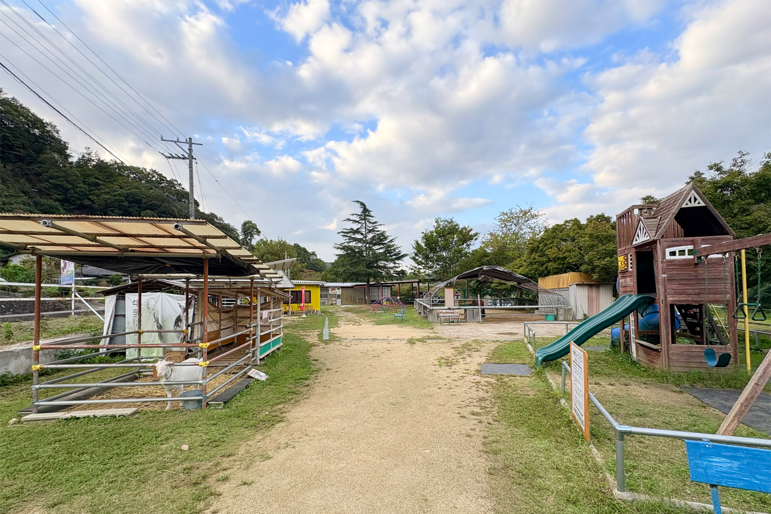 やぎや馬、鹿などへの餌やり体験も楽しめます