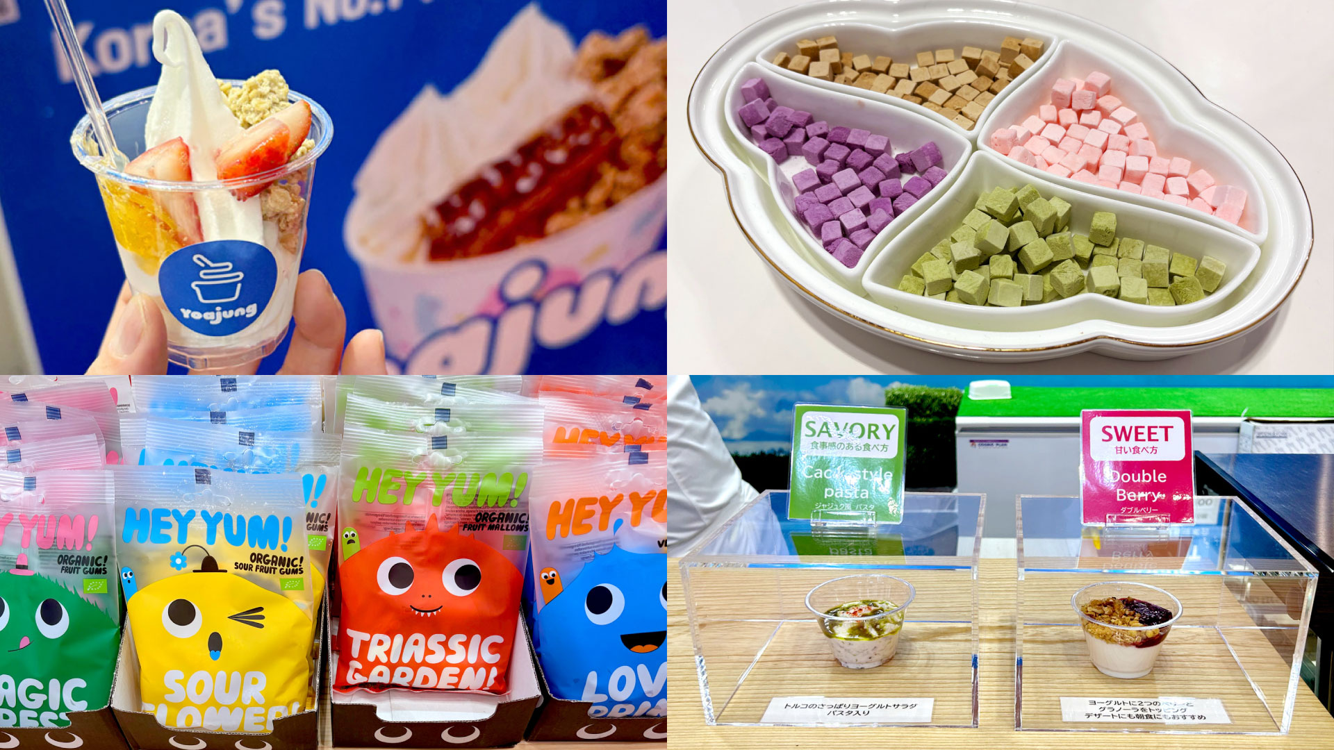 ［FOODEX 2026］世界のヨーグルト最新トレンド！ヤク・粉末・アイス…変貌自在な「次なる進化」は？