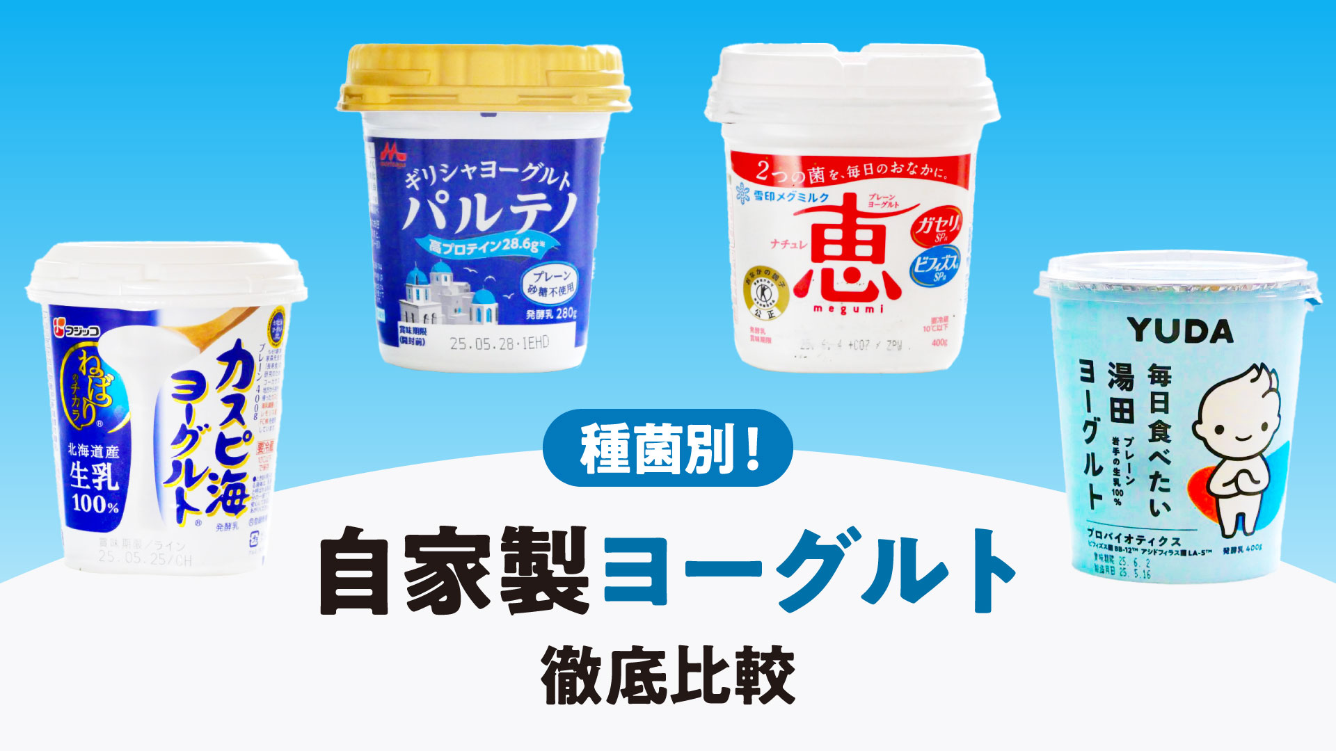 種菌を変えると自家製ヨーグルトの味と食感はどう違う？市販で人気のヨーグルトで比較検証
