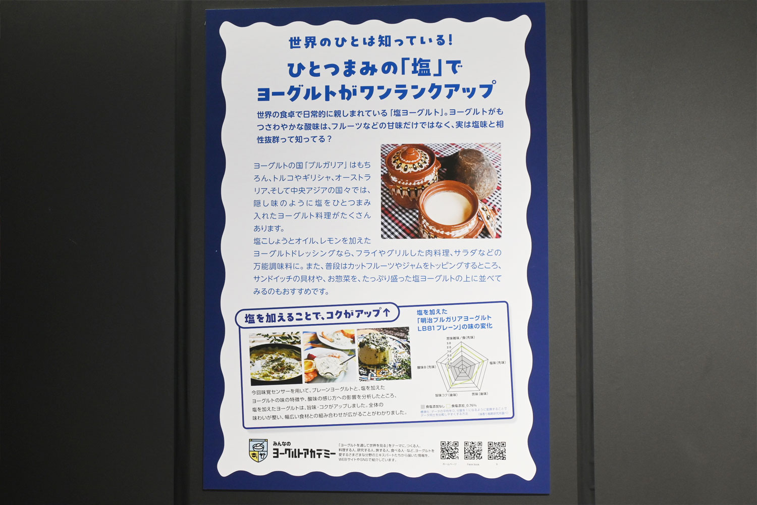 「みんなのヨーグルトアカデミー」から、世界の塩ヨーグルト情報を提供